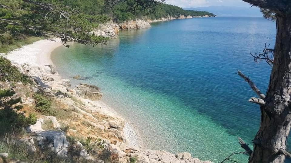 Apartments Adriatic 3 Селце Экстерьер фото