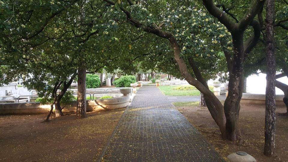 Apartments Adriatic 3 Селце Экстерьер фото